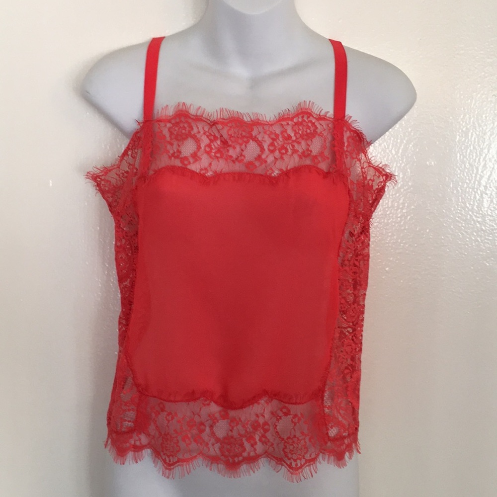 Sheer/Lace Top